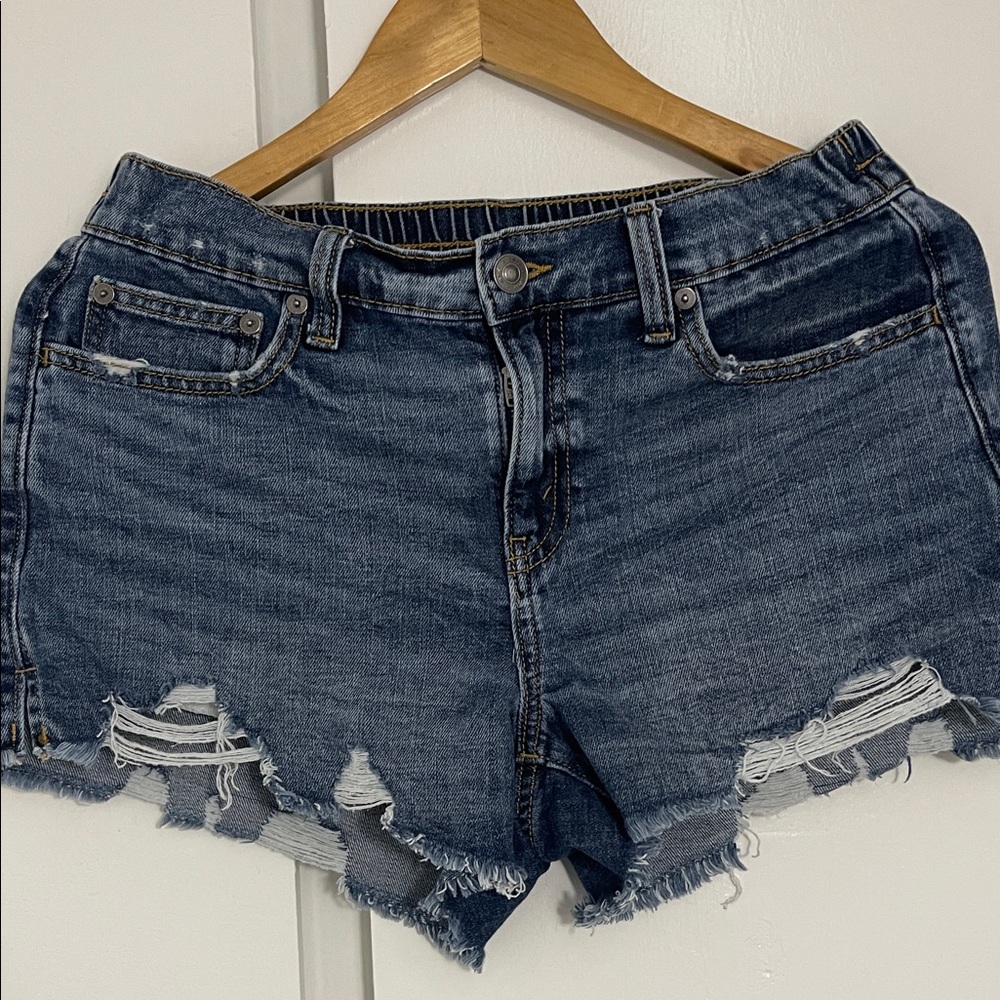 Aerie Blue Distressed Daydream Denim Shorts